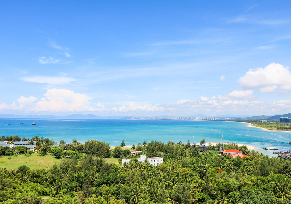 椰风海韵，海南椰城温暖画卷