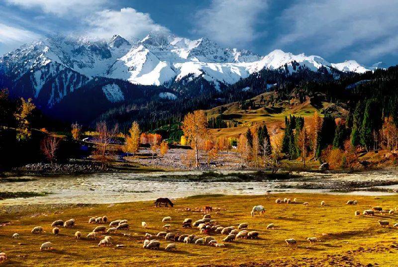 丝路风华，新疆西域行吟之旅